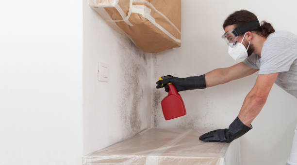 Professional Crawl Space Mold Removal technician working in Ho-Ho-Kus, NJ