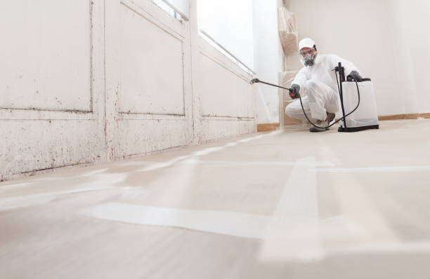 24/7 Emergency Crawl Space Mold Removal experts in Ho-Ho-Kus, NJ