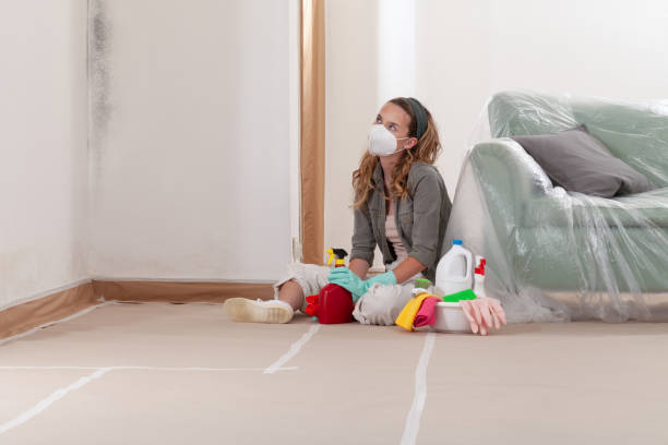 Reliable Mold Cleanup contractor in Ho-Ho-Kus, NJ by Cheap Mold Removal